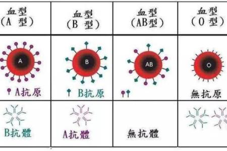 血型有什么变态情节