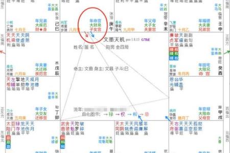 紫微斗数田宅宫看子孙 田宅宫对照子女宫？