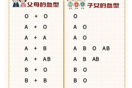 血型b+和b-是什么意思