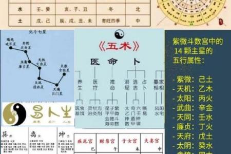 紫薇斗数厉害的人