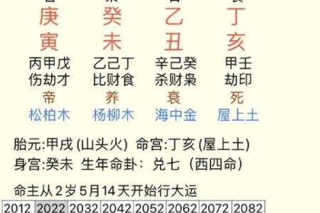 生辰八字解析-2024年农历正月二十出生的孩子好吗