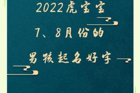 晚上12点出生的属虎男孩起什么名，宜用什么字姓名