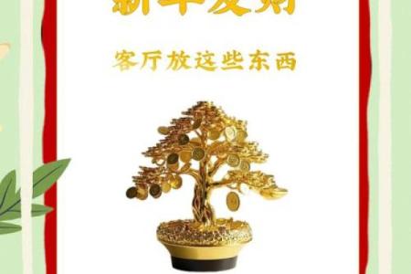 新房第一年过年风水 新房第一年过年风水好吗