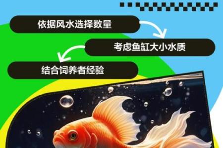 养鱼的数量风水