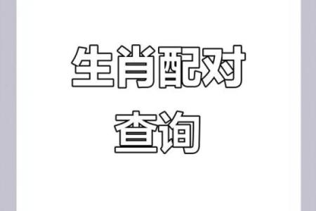 肖虎最佳配对生肖大揭秘