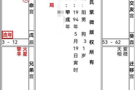 紫薇斗数排版