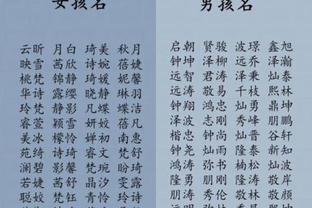 2019年3月23号辰时出生的男孩如何起名姓名