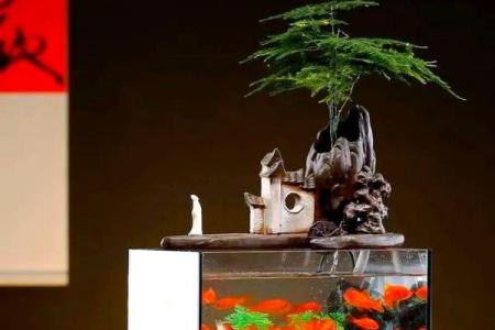养鱼风水摆放位置的禁忌有哪些呢