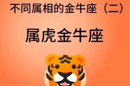 金牛男喜欢什么类型的女孩子 金牛男把心给了哪个星座