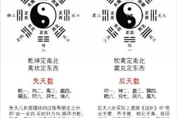 八卦与八字