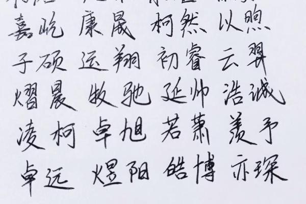 2019年3月25号酉时出生的男孩起名方法姓名