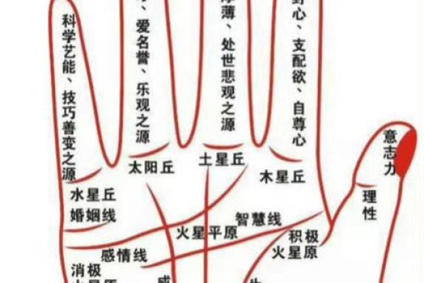 从手纹看姻缘 如何看手纹算命婚姻线？
