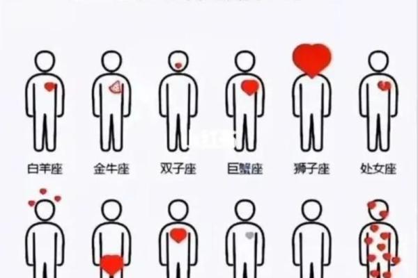 什么星座男最宠水瓶女 最宠水瓶女的星座