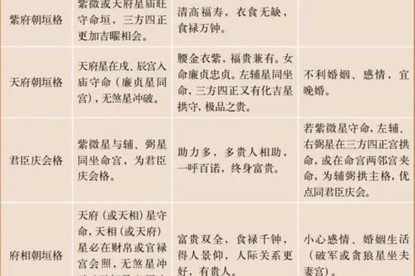 紫薇斗数预示什么