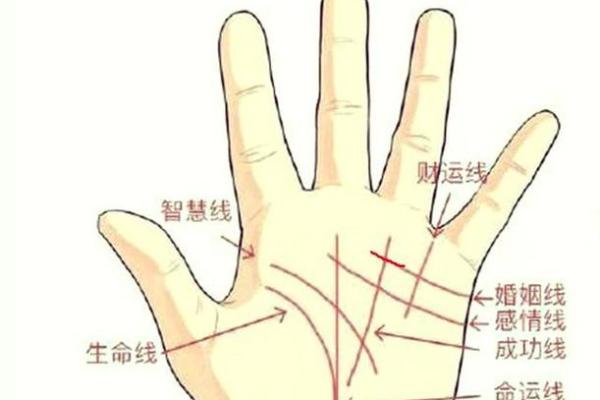 看手相算命图解：手相看婚姻