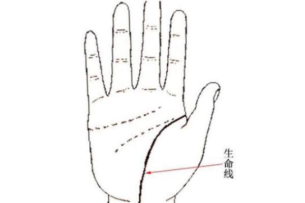 看手相算命生命线 手相图解生命线怎么看