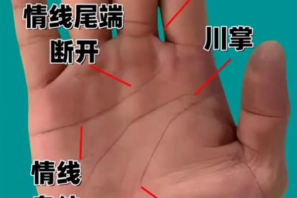 看手相算命生命线 手相图解生命线怎么看
