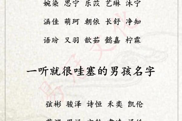 晚上10点出生的属鸡男孩用什么字取名字合适姓名