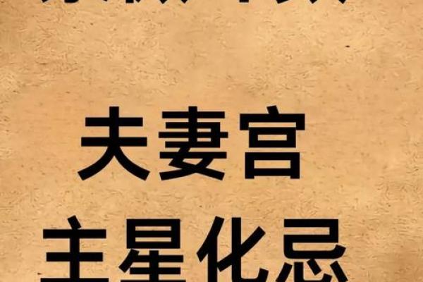王员外紫薇斗数