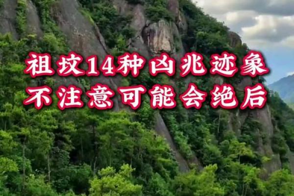 祖坟风水真能影响子孙命运吗