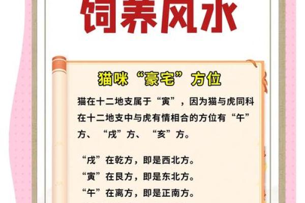 怎样进行家居风水布置才会健康