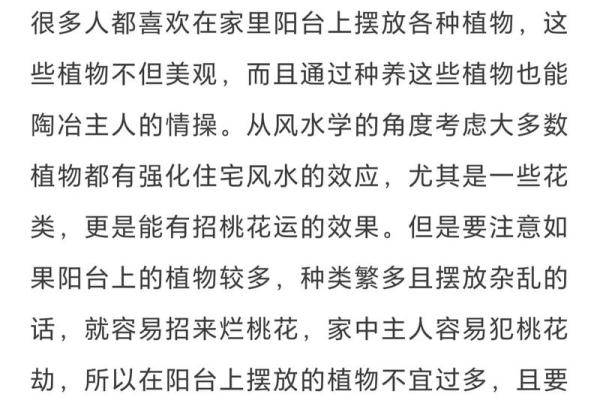 阳台和窗台风水布置提高桃花运