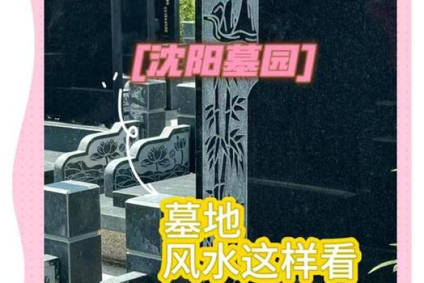 坟地风水_我想买一本看坟地的书籍