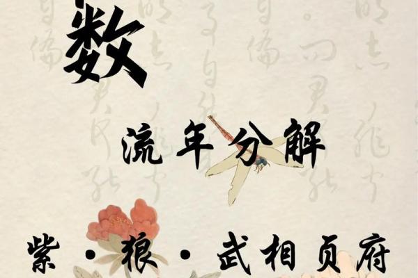 紫薇斗数创业流年