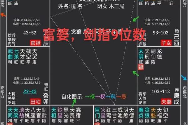 紫薇斗数刑伤
