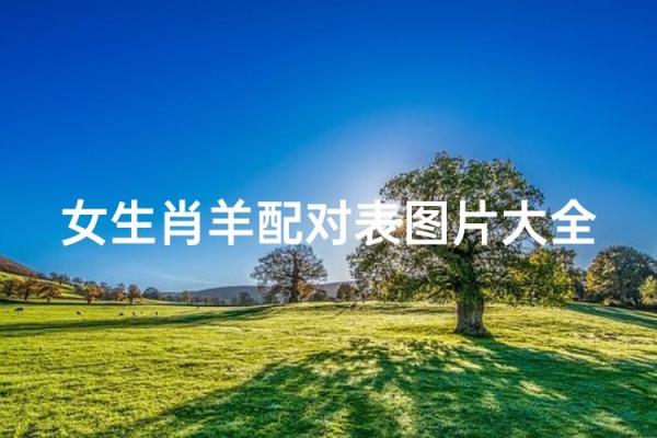 1991年属什么生肖配对