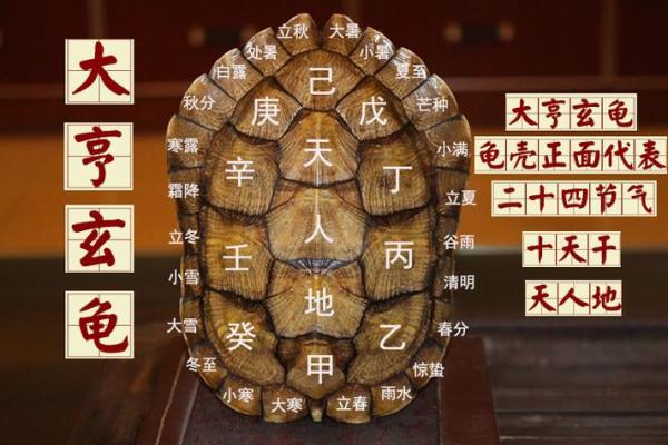 房子风水中乌龟串堂
