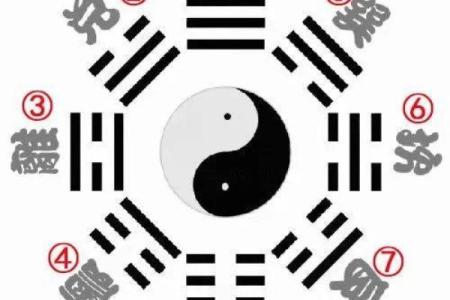 八卦与八字
