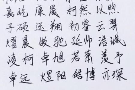 2019年3月25号酉时出生的男孩起名方法姓名