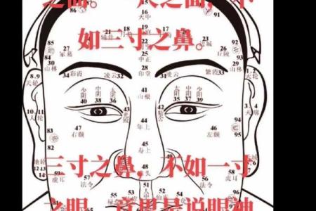 八字看你命如何
