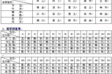【紫微斗数】排盘技巧038：紫微斗数的未来发展