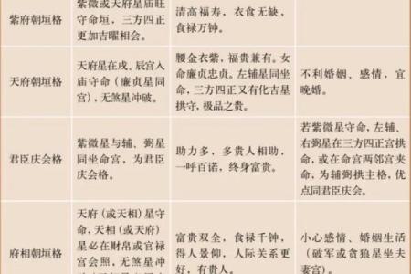 紫薇斗数预示什么