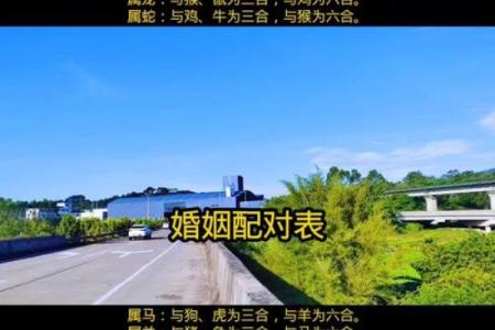 男女名字测姻缘配对免费 免费姻缘测试男女名字能否配对