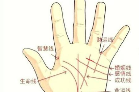 看手相算命图解：手相看婚姻