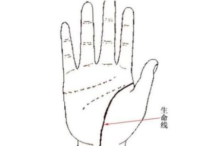 看手相算命生命线 手相图解生命线怎么看