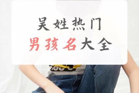 吴姓男孩名字大全-吴姓男孩起名字大全-吴姓名字大全姓名