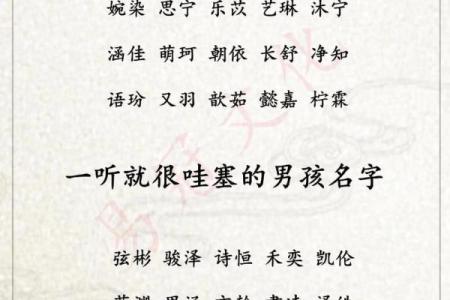 晚上10点出生的属鸡男孩用什么字取名字合适姓名