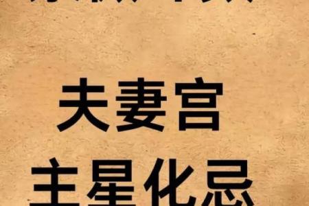 王员外紫薇斗数