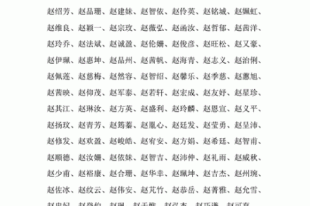赵姓男孩名字大全-赵姓男孩起名字大全-赵姓名字大全姓名
