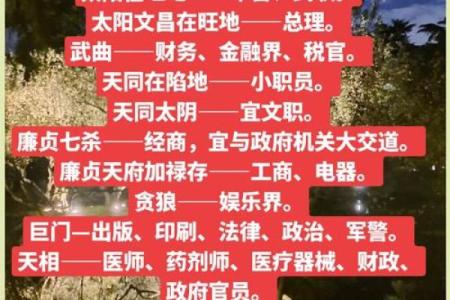 紫薇斗数测事业成就