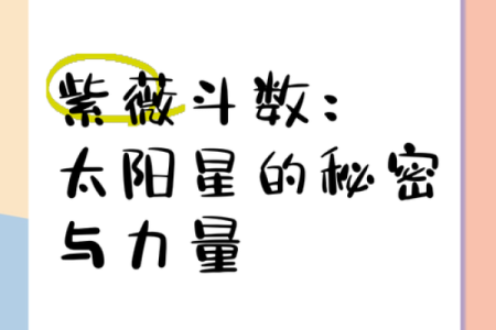 紫薇斗数太阳夫妻