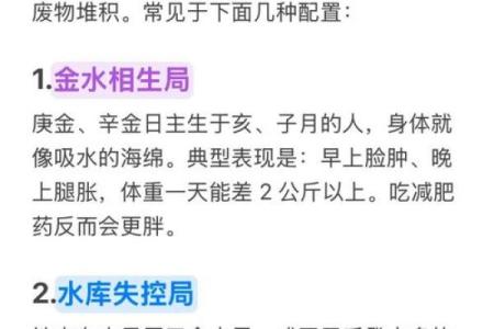 胖子的八字