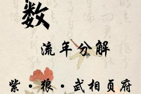 紫薇斗数创业流年