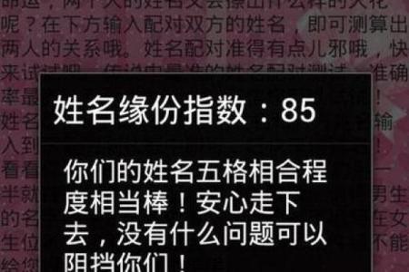 姓名测试配对