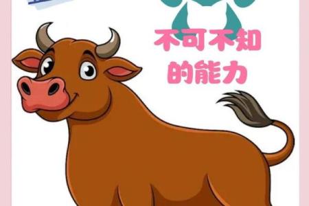 当金牛女遇上十二星座男，会擦出怎样的火花？