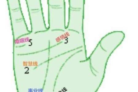 李向东：讲解算命